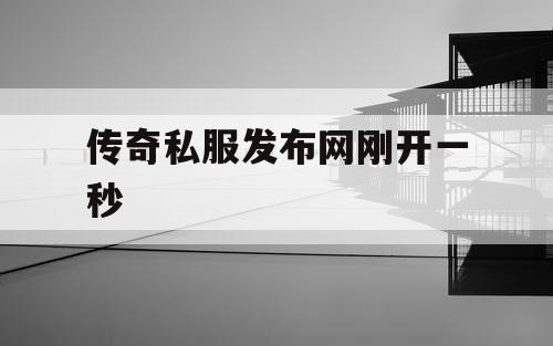 传奇私服发布网刚开一秒