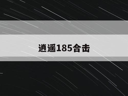逍遥185合击