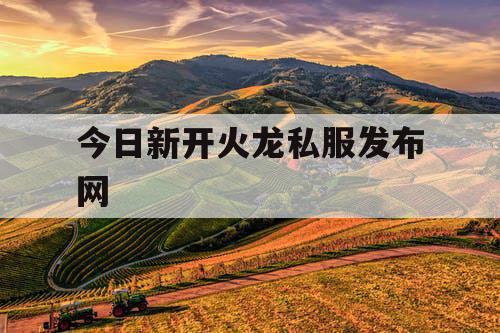 今日新开火龙私服发布网
