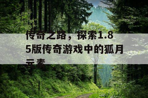 传奇之路，探索1.85版传奇游戏中的狐月元素