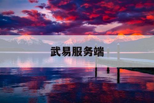 武易服务端