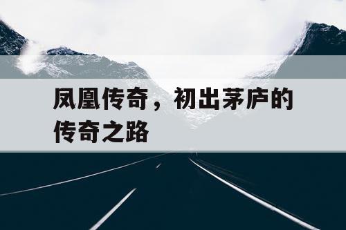 凤凰传奇，初出茅庐的传奇之路