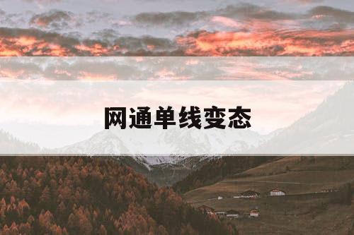 网通单线变态