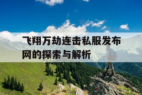 飞翔万劫连击私服发布网的探索与解析