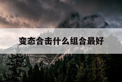 变态合击什么组合最好