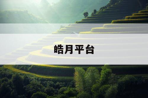 皓月平台
