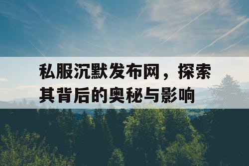 私服沉默发布网，探索其背后的奥秘与影响
