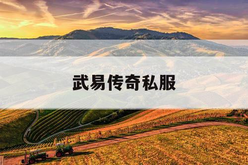 武易传奇私服