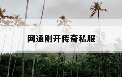网通刚开传奇私服