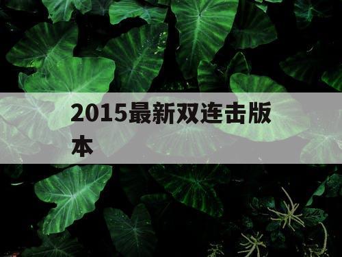 2015最新双连击版本