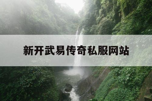 新开武易传奇私服网站