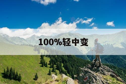 100%轻中变