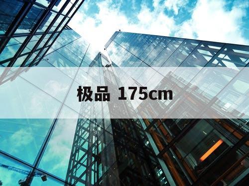 极品 175cm