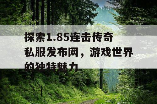 探索1.85连击传奇私服发布网，游戏世界的独特魅力