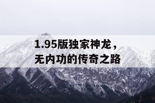 1.95版独家神龙，无内功的传奇之路