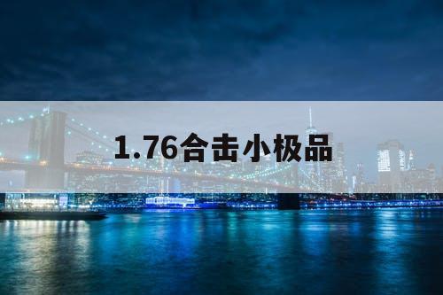 1.76合击小极品