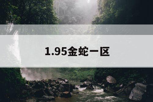 1.95金蛇一区