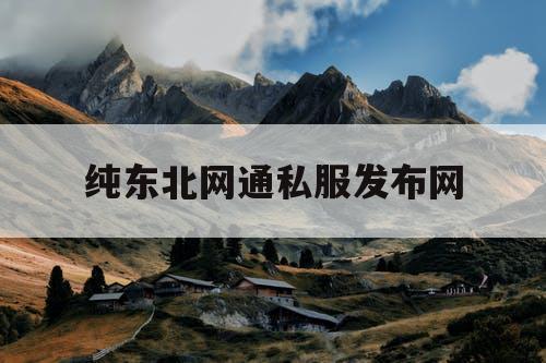纯东北网通私服发布网