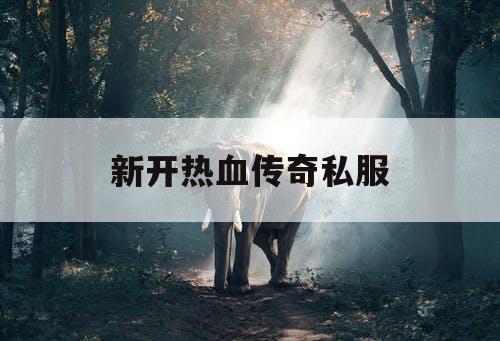 新开热血传奇私服