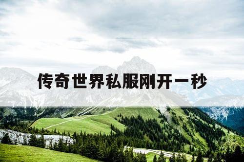 传奇世界私服刚开一秒