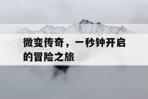 微变传奇，一秒钟开启的冒险之旅