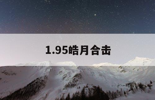 1.95皓月合击