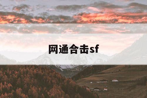 网通合击sf
