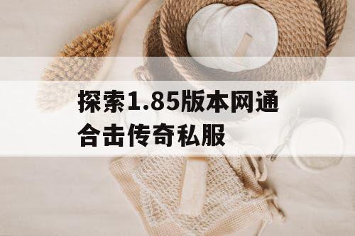 探索1.85版本网通合击传奇私服