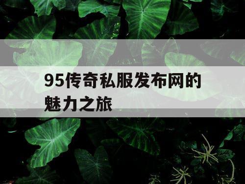 95传奇私服发布网的魅力之旅