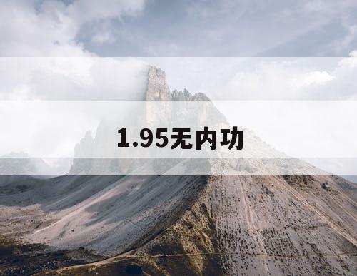 1.95无内功