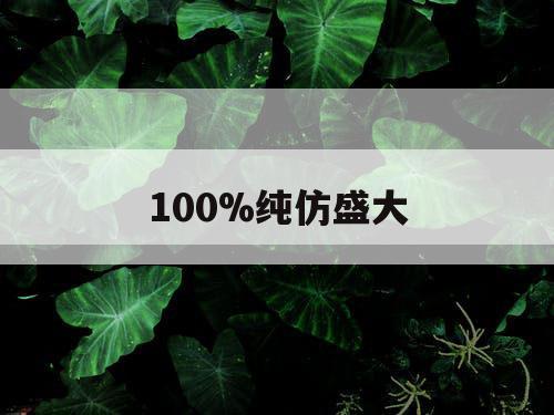 100%纯仿盛大