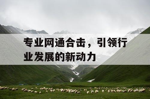 专业网通合击，引领行业发展的新动力