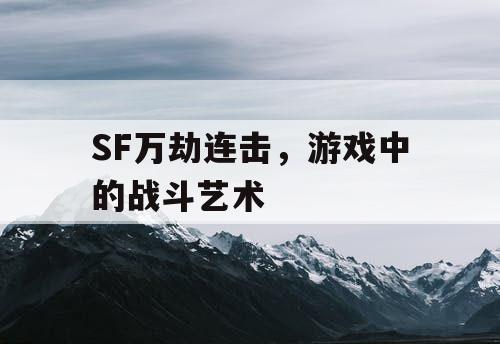 SF万劫连击，游戏中的战斗艺术