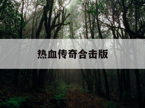 热血传奇合击版