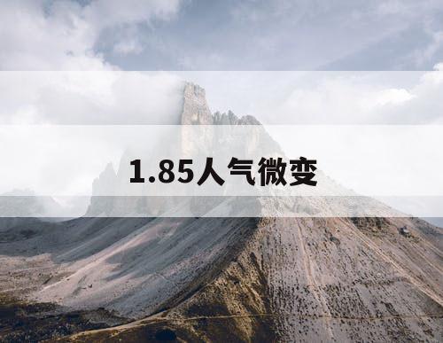 1.85人气微变