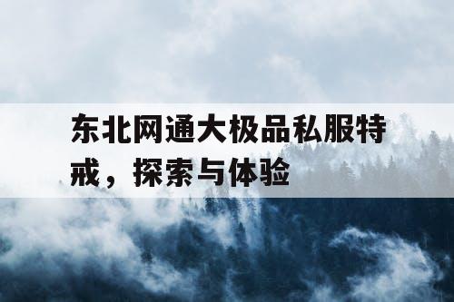 东北网通大极品私服特戒，探索与体验