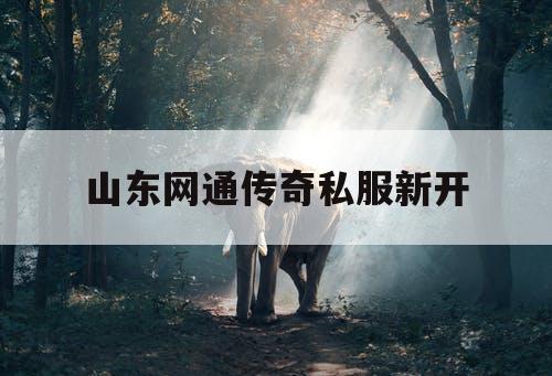 山东网通传奇私服新开