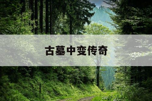古墓中变传奇