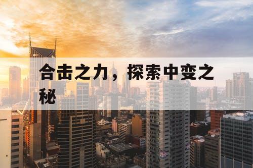 合击之力，探索中变之秘