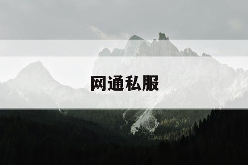 网通私服