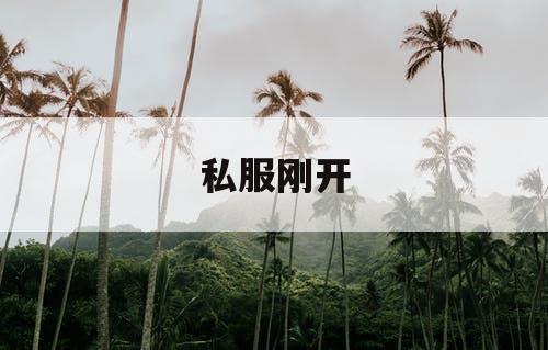 私服刚开