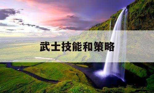 武士技能和策略