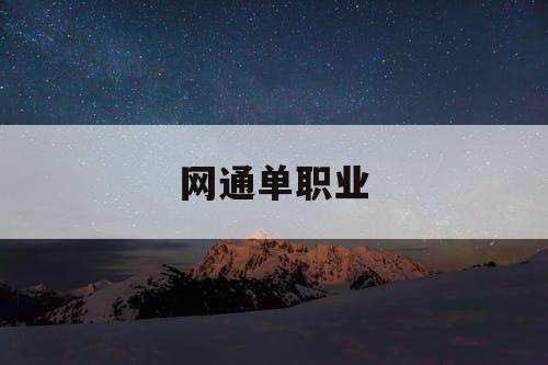 网通单职业