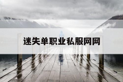 迷失单职业私服网网