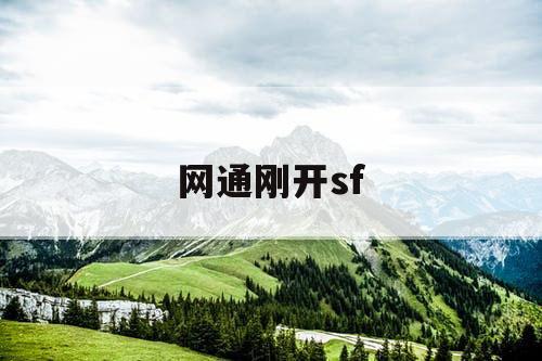 网通刚开sf