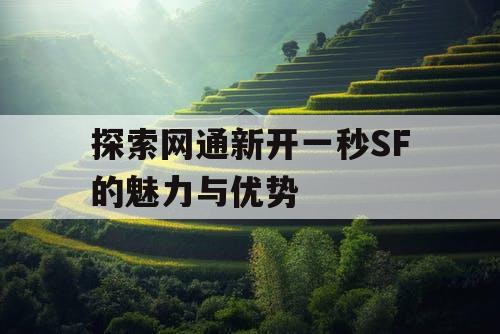 探索网通新开一秒SF的魅力与优势