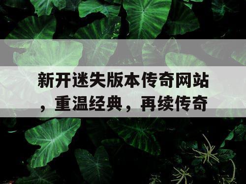 新开迷失版本传奇网站，重温经典，再续传奇