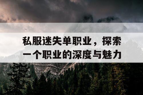 私服迷失单职业，探索一个职业的深度与魅力