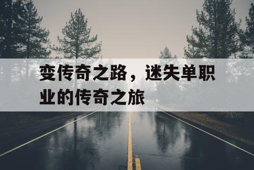 变传奇之路，迷失单职业的传奇之旅