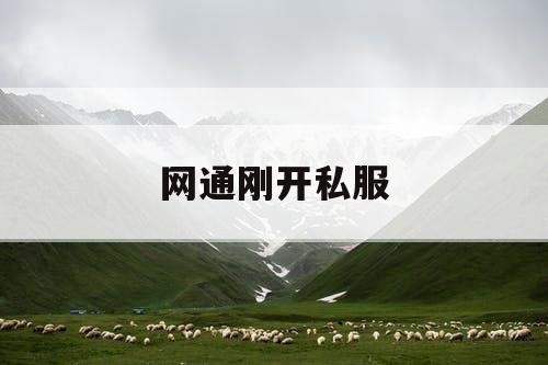 网通刚开私服